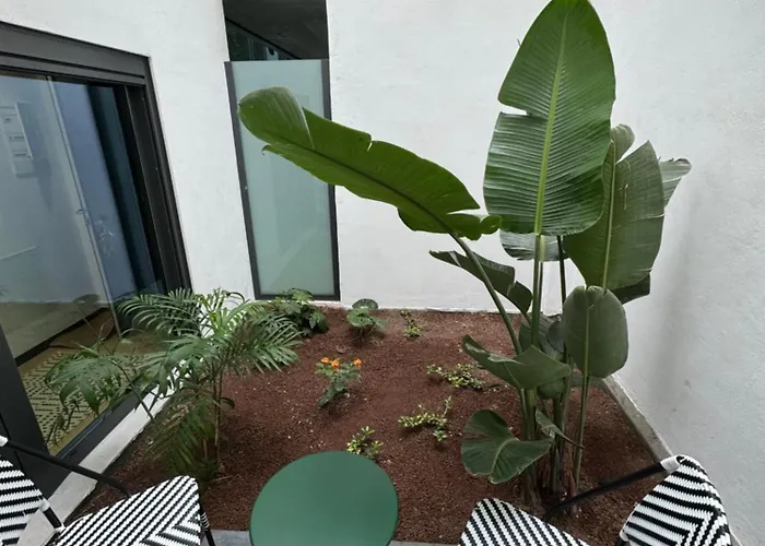 Lägenhet Oasis Pavia 15 *