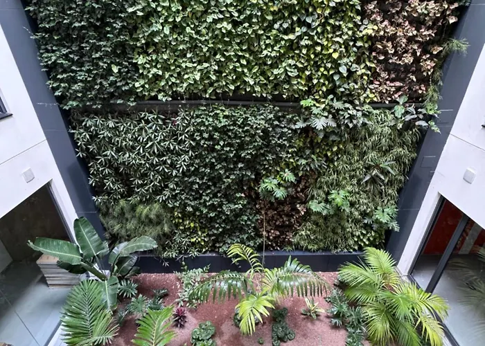 Lägenhet Oasis Pavia 15 Las Palmas de Gran Canaria